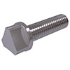 DIN Hex Bolts