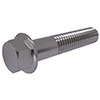 DIN Hex Bolts